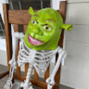 Meet your Posher, Kylee